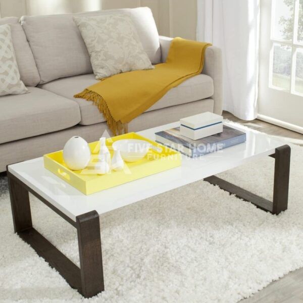 Modern White/Brown Coffee Table